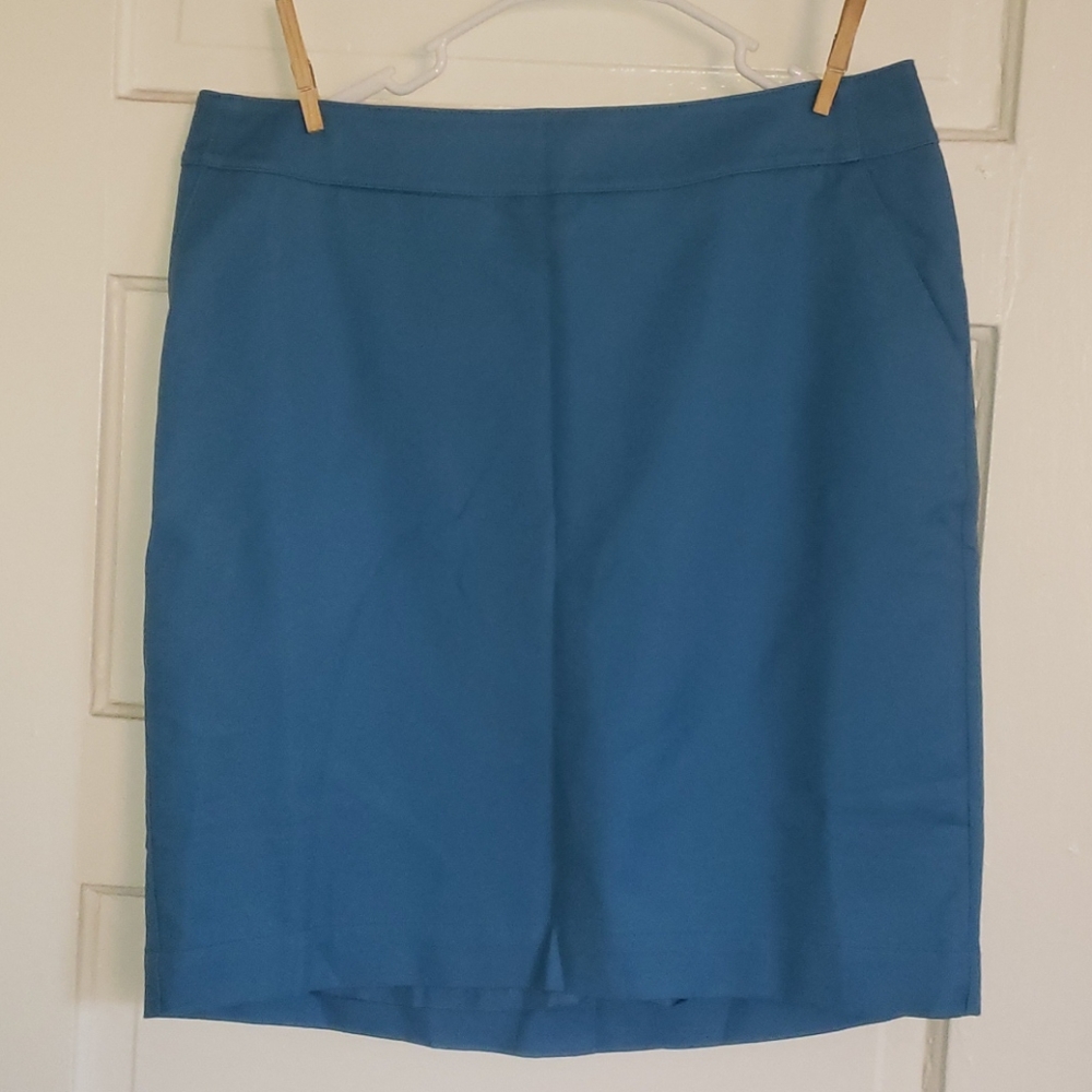 Merona Pencil Skirt